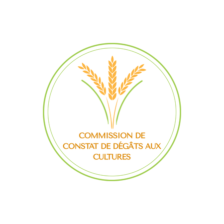 Illustration de l'actualité - cliquer pour agrandir